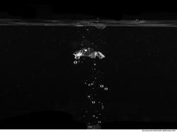 Photo Texture of Water Splashes